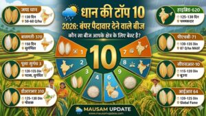 धान की टॉप 10 उन्नत किस्में 2026